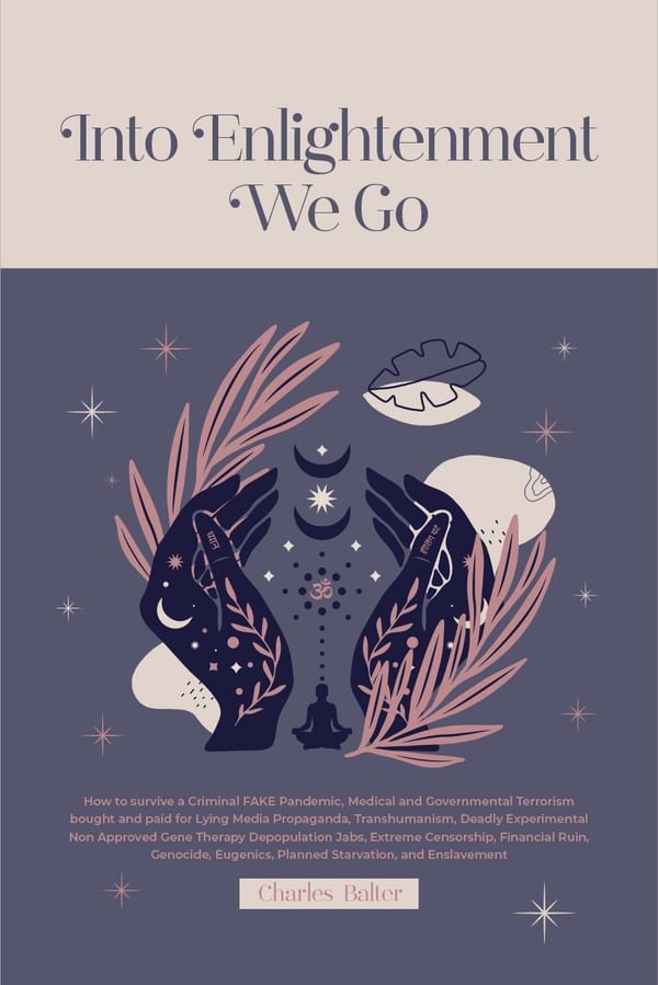 Into Enlightenment We Go front cover
